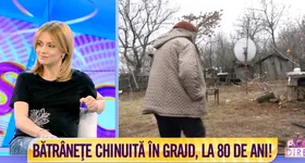 Galerie foto - poza 2