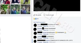 Galerie foto - poza 2