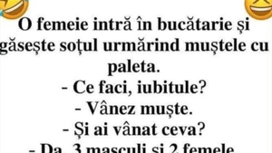 BANCUL DE VINERI | O femeie își găsește soțul urmărind muștele cu paleta