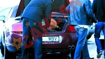 I-a cumparat un ursulet Monicai