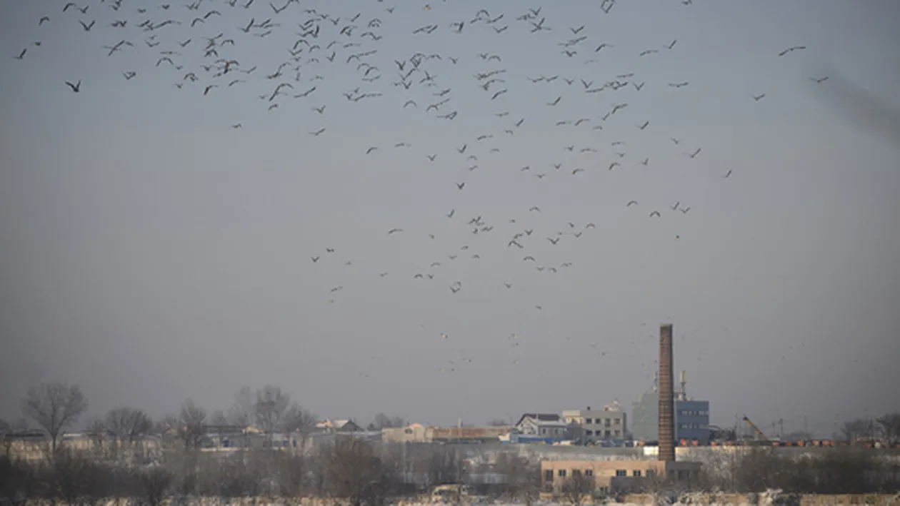 METEO 4 IULIE! Ce anunţă meteorologii pentru ziua de marţi