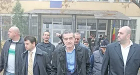 Galerie foto - poza 3