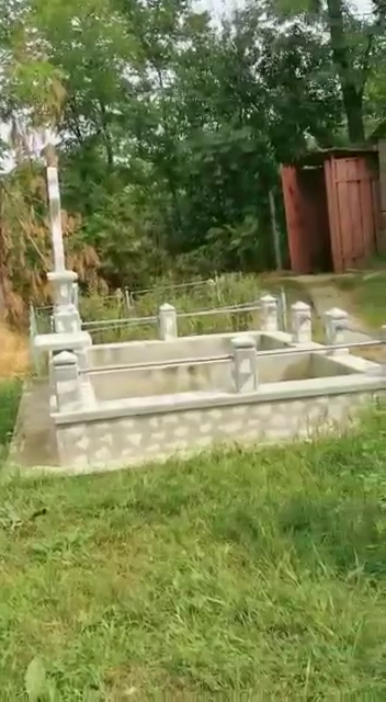 Cavoul familiei care a ajuns în litigiu cu celebra judecătoare