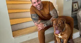 Galerie foto - poza 3