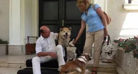 Galerie foto - poza 3