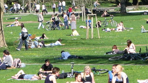 S-a intamplat in acest weekend in Parcul Herastrau din Capitala! Ce i-a uimit pe trecatori