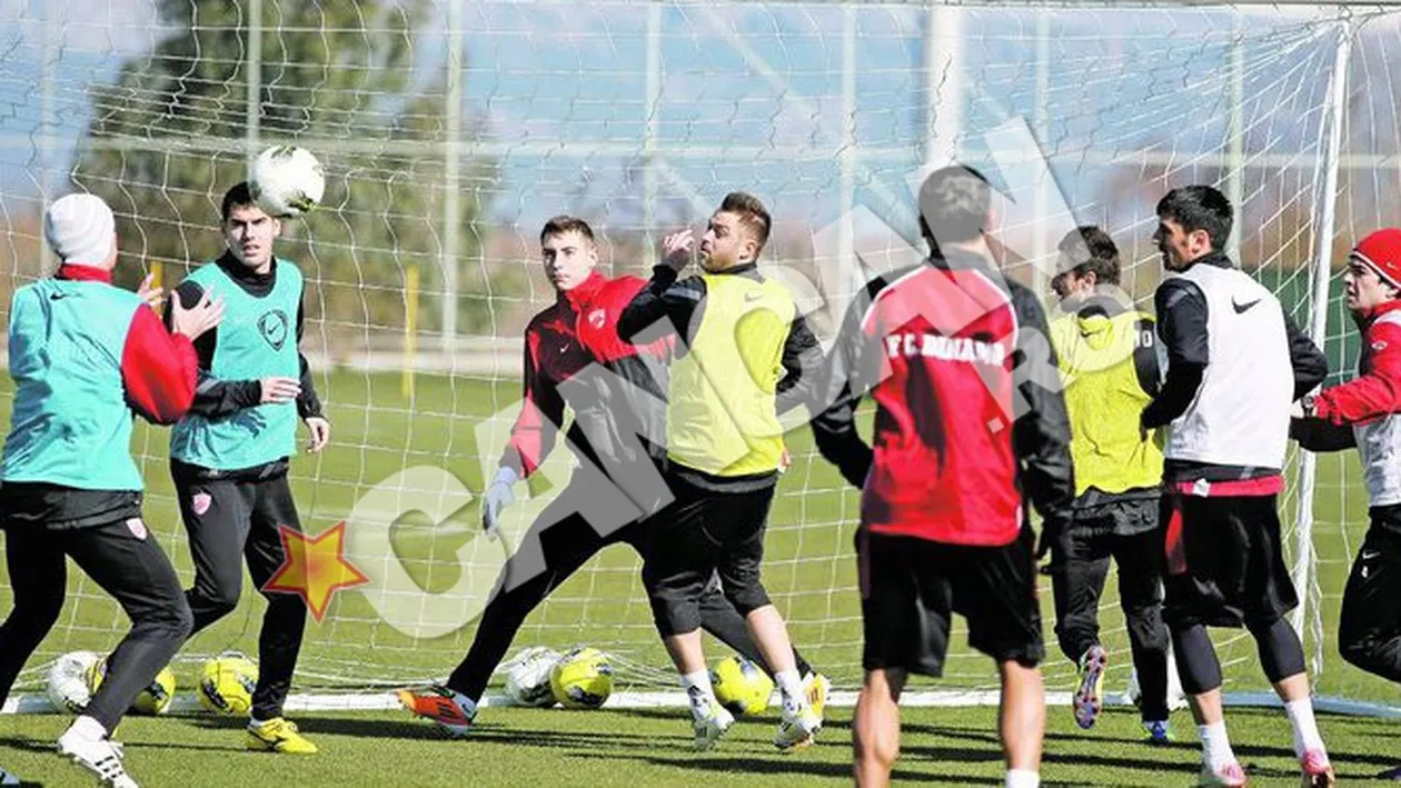 Cadou de la Badea si Borcea pentru jucatori! Vor face sex trei zile in cantonament