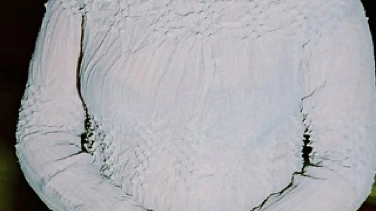 Profesoara care are un copil cu Adrian Păduraru nu recunoaşte că fura din genţile studentelor sale de la Hyperion!