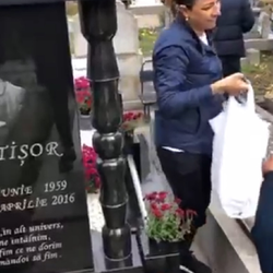 Imagine Galerie #2