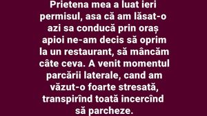 Bancul începutului de săptămână | "Prietena mea a luat ieri permisul, așa că am lăsat-o să conducă prin oraș"