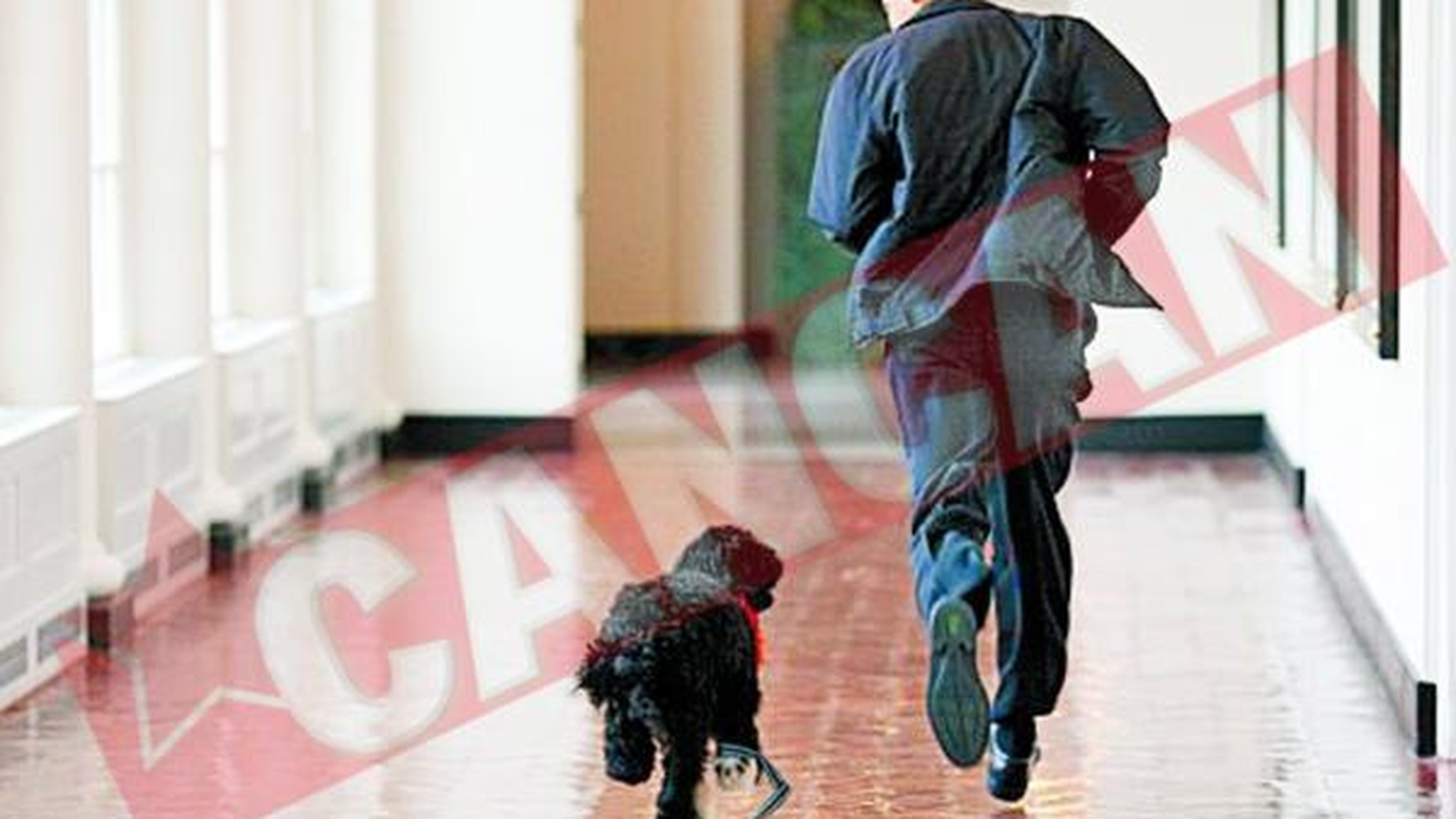 Bo il musca pe Obama de degete