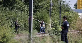 Galerie foto - poza 2