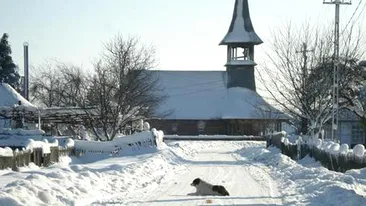 Icoane care fac minuni