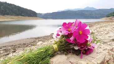 8 Martie. Ziua Femeii. Tradiții și obiceiuri