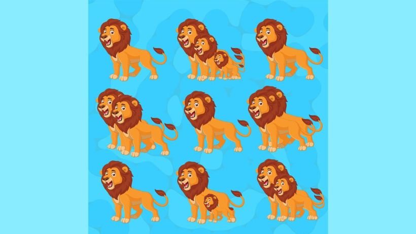 Test de perspicacitate | Câți lei sunt, în total, în această poză?