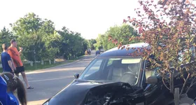 Galerie foto - poza 3