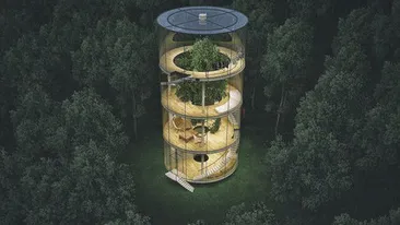 Un arhitect construieşte o casă în jurul unui copac! Vezi cum va arăta minunăţia arhitecturală! 