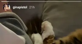 Galerie foto - poza 3