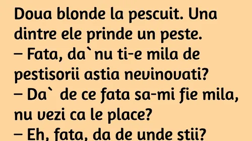 BANCUL ZILEI | Două blonde se duc la pescuit