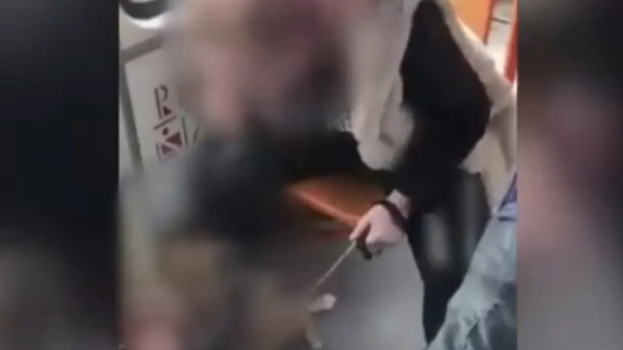 Imagini uluitoare într-un tramvai din Capitală. O tânără a fost filmată în timp ce-și lovea cu brutalitate câinele