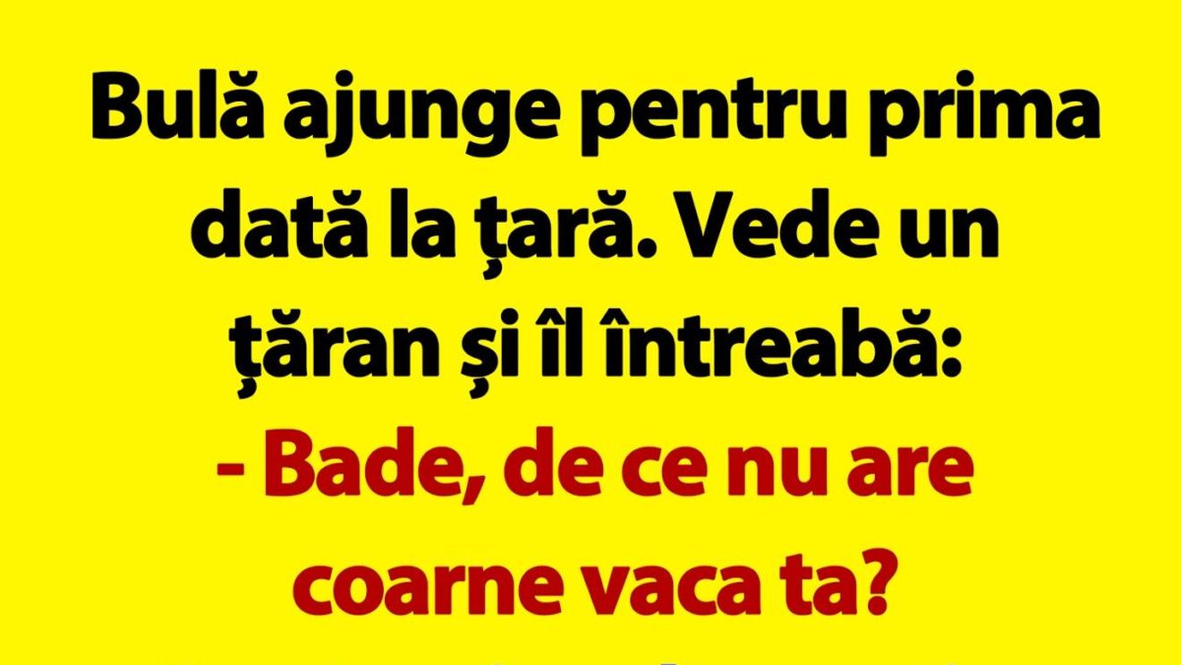 BANC | Bulă se duce la țară: "Bade, de ce nu are coarne vaca ta?"