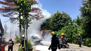 Incendiu în apropiere de Decathlon Băneasa! Pompierii se luptă cu flăcările