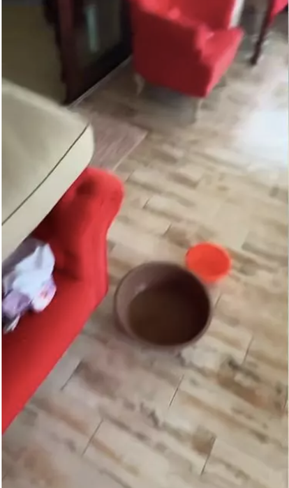 Locuința Gabrielei Cristea și a lui Tavi Clonda a fost grav afectată de inundații: „Am pus ligheanul ca pe vremea lui mam’ mare…”