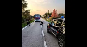 Galerie foto - poza 4