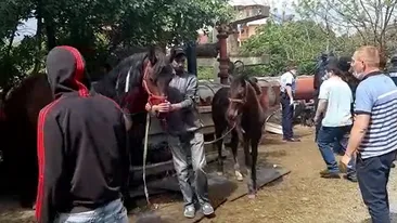 Zeci de mascați au descins la o familie de romi din Drobeta Turnu Severin! Ce au descoperiri au făcut oamenii legii