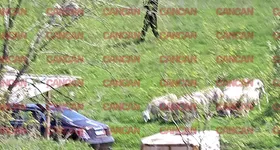 Galerie foto - poza 4