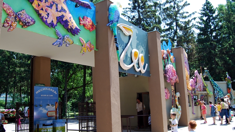BREAKING | Incendiu la Grădina Zoologică din București. Pompierii intervin cu 11 autospeciale: arde o suprafață de 2000 de metri