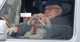 Galerie foto - poza 2