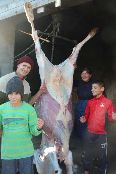 Imaginile cu Micul Hercule care au şocat o lume întreagă! Curtea în care locuieşte cei mai puternic copil din România, plină de sânge!