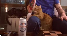 Galerie foto - poza 3