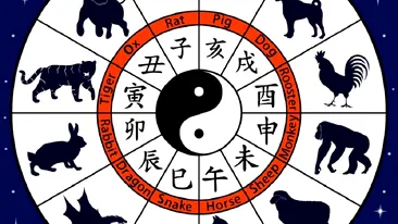 Horoscop chinezesc pentru 1 martie 2021. Este o zi guvernată de Pământ Yang și de Maimuță