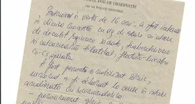 Galerie foto - poza 4