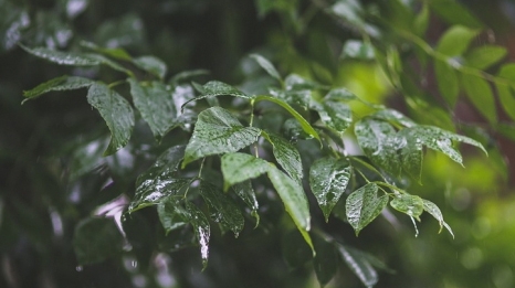 Meteo 9 iunie! Vremea continuă să fie capricioasă, iată când va fi cald şi frumos