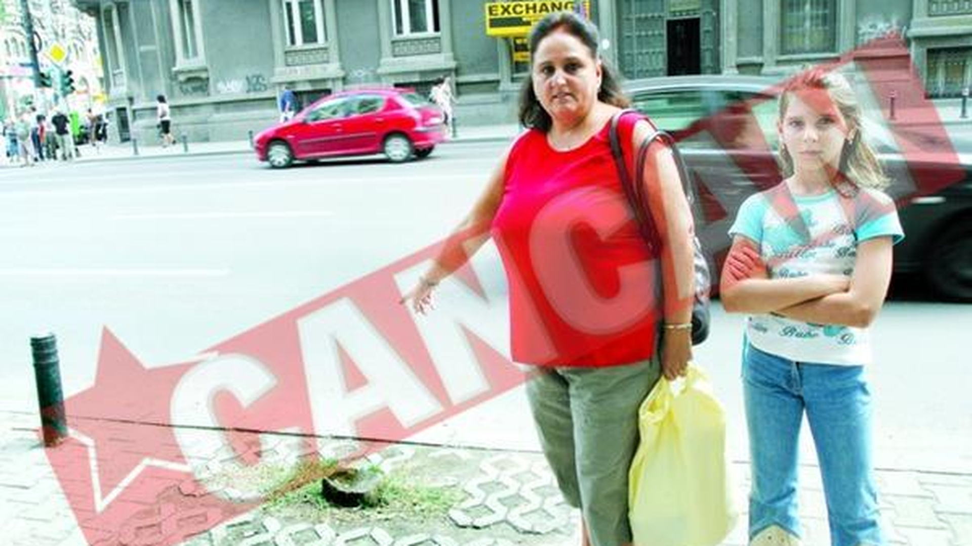 Lipsa copacilor scurteaza viata bucurestenilor