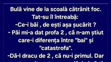 BANC | Bulă, baiul și catastrofa