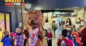 Galerie foto - poza 1