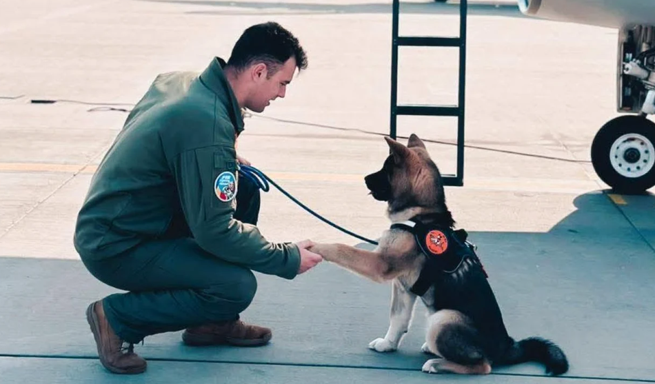 Povestea lui Octavian Palferenț, pilotul militar care a murit încercând să salveze un câine. Care a fost cel mai mare vis al său
