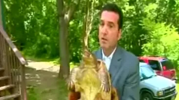 VIDEO Un reporter NBC a fost muscat de nas de o broasca testoasa!