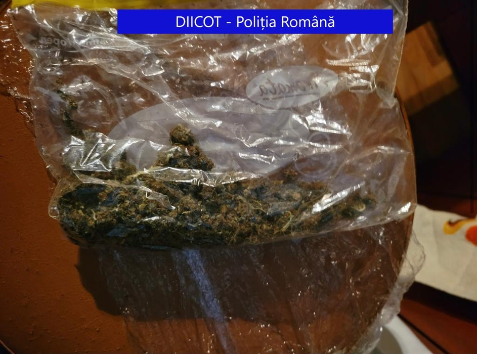 Rețea de traficanți de droguri compusă din luptători MMA, destrămată. Ce au ridicat polițiștii după percheziții