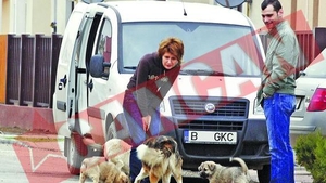 Sandra Stoicescu l-a imbogatit pe veterinarul din Pipera