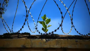 Evadare ca în filme în Indonezia. Un condamnat la moarte a evadat prin canalizare