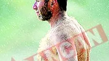 Abramovici, paros la plaja