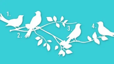 TEST vizual spectaculos! Cunoaşte-ţi scopul în viaţă alegând una dintre cele 4 păsări din imagine