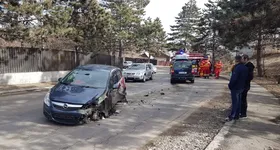 Galerie foto - poza 2