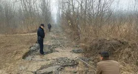 Galerie foto - poza 1