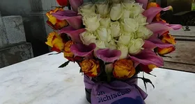 Galerie foto - poza 3